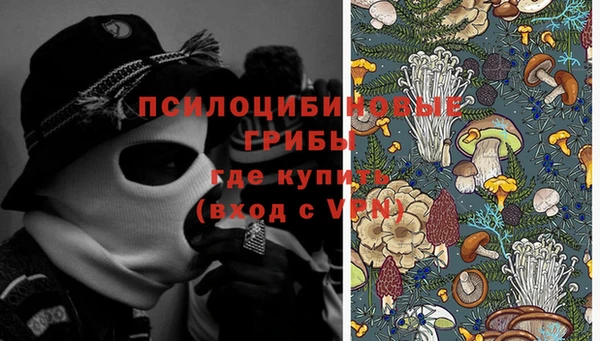 соль ск Алексеевка