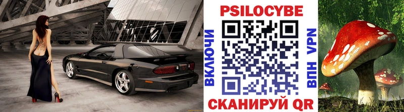 Галлюциногенные грибы Magic Shrooms  Новороссийск 